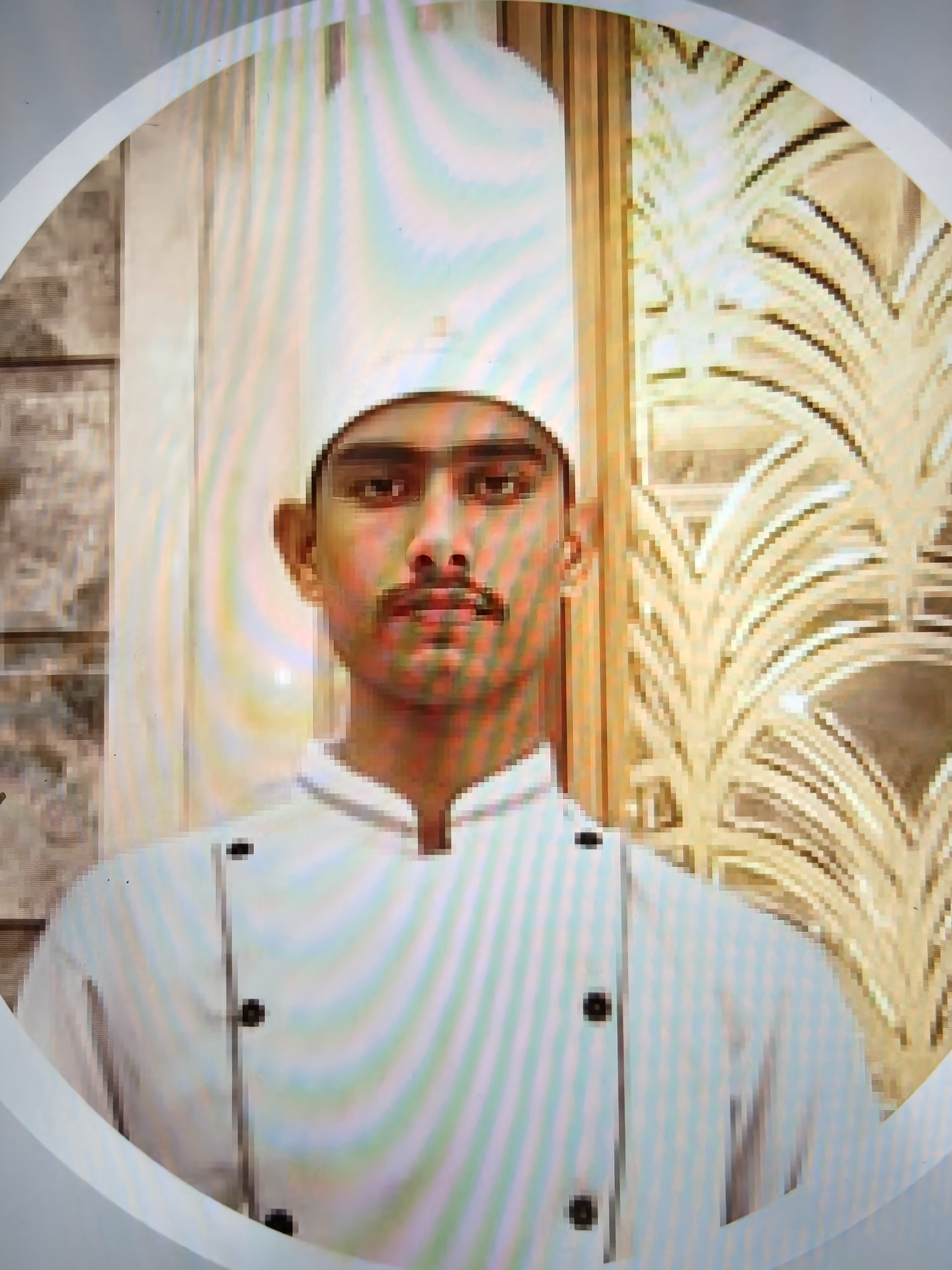 User Profile